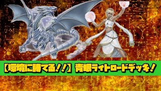 【環境に勝てる！】青眼ライトロード【遊戯王デュエルリンクス】【Yu-Gi-Oh! Duel Links】