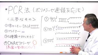 映像授業　高校とってもやさしい生物　第5回　PCRのしくみを理解しよう