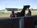 clips from 2009 pendleton indian relay race