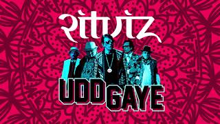 Ritviz - Udd Gaye Official Audio