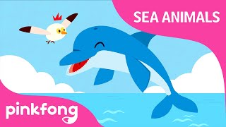 Click Click Dolphin | Sea Animals Song | Dolphin Song | Pinkfong Songs for Children