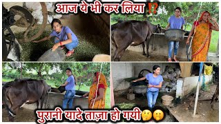 पुरानी यादे ताज़ा हो गई 😂 आज गाँव जाके ये भी कर ली 😆@Tannuyadav914 #tannuyadavvlog