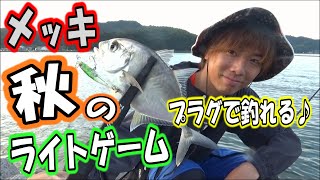 【死滅回遊魚】プラグで釣れるGTの幼魚⁉秋のライトゲームはメッキが面白い！【ロウニンアジ/ギンガメアジ】