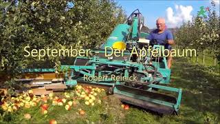 September - Der Apfelbaum. Robert Reinick