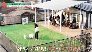 [건축탐구 - 집] 우리집 마당에 아들이 산다