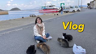 🇯🇵 일본 고양이섬에서 생긴 일 VLOG 🐈  (ft. 아이노시마)