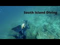 South island diving | Marlborough