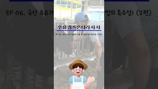 🥛우유퀴즈온더라차차 - 국산 우유가 특별한 이유 #낙농산업의특수성1 (2편)