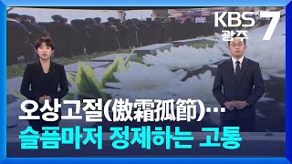 [뉴스7 광주·전남 클로징] 오상고절(傲霜孤節)…슬픔마저 정제하는 고통 / KBS  2025.01.02.