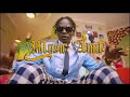 D'mighty Kim - Music Amit   4k Official Video