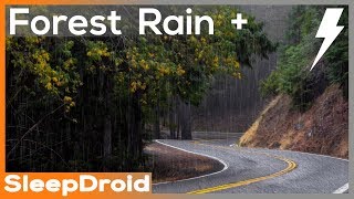 ► Relaxing Rain in the Forest with Thunder. Rain Sounds for Sleeping in the Woods on a Windy Road