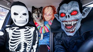 Kakoa's POV Car Ride Chase's with Chucky, Skeleton, & T-Rex Compilation!