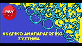 ΑΝΔΡΙΚΟ ΑΝΑΠΑΡΑΓΩΓΙΚΟ ΣΥΣΤΗΜΑ