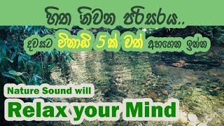 මේක භාවනාවක් .....විනාඩි 5 ක් අහල බලන්න... හිත නිවන පරිසරය.. Nature Sound will Relax your Mind ..