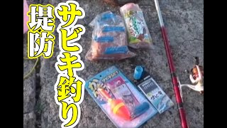 かんたん堤防サビキ釣り入門