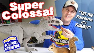 Jurassic World Camp Cretaceous Super Colossal Indominus and T-Rex Dinosaur Review!