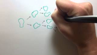 Minute Genetics - Are all mutations harmful?