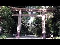 yoyogi park cycling course and meiji jingu shrine 代々木公園サイクリングコースと明治神宮