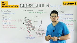 Endoplasmic Reticulum structure and functions | Video 6