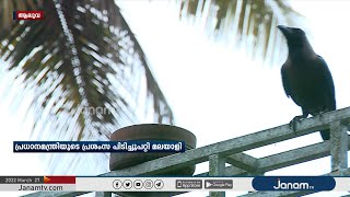 പക്ഷികൾക്ക് ദാഹജലം ഉറപ്പാക്കിയുള്ള 'ജീവജലത്തിനൊരു മൺപാത്രം