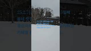 25.2.7(금)_제주2주살이 5일차. 점심은 외식