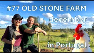 #77 Our old stone farm in december in Portugal