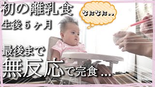 【生後5ヶ月 娘】初の離乳食! 最後まで無反応のまま完食(笑)【5 months old/First time to try the baby food】