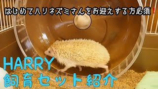 ハリネズミさんのお迎え考えてる方、なんとHARRYの飼育セットご紹介しちゃいます‼︎