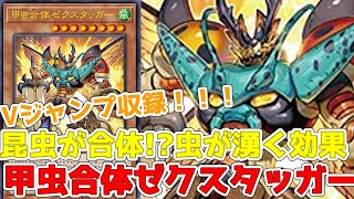 【遊戯王】新規紹介！甲虫合体ゼクスタッガー！虫が湧いて打点アップ！！！