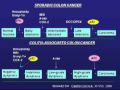 Colon cancer in IBD: What's all the fuss about? part 2/6