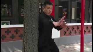 胡玉涛老师日常训练片段--Master HuYuTao -- Daily Training