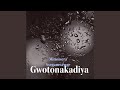 Gwotonakadiya