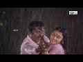 அன்பே என் அன்பே..ஏ.. video song vijayakanth amala voice of s.p.b tamil romantic songs songs