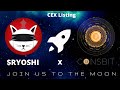 Tutorial | How to Buy Ryoshis Vision on Coinsbit