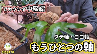 【傾き修正🌈】意外と大事な成長点と目が合う⁉角度🌱