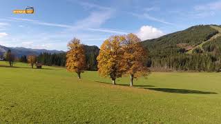 Herbst Impressionen aus der Region