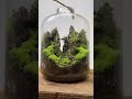 室内山水风光，安排 大自然的鬼斧神工 室内景观 moss 苔蘚 terrarium 微景觀