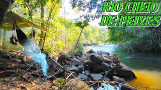 ACAMPEI no RIO e meu JANTAR dependia da PESCARIA
