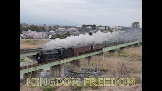 SLぐんまよこかわ、川向うに桜咲く中「安中鉄橋」を渡る　2021年4月4日