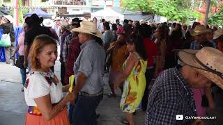 Domingos de Huapango en Xilitla SLP - El Caballo Arribeño