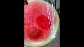 Watermelon Thief