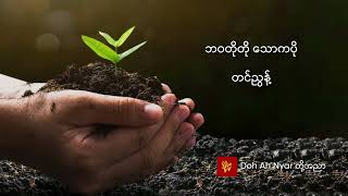 ဘဝတိုတို သောကပို - တင်ညွန့်