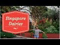 Singapore Dairies Part 1