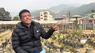 Trekking for Nature Conservation with PK Sherpa