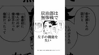 意外と知らない鬼滅の刃の作画ミスに関する面白い雑学part2二選【鬼滅の刃】#雑学#鬼滅の刃#柱稽古編