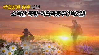 (소백산)내 고향의 산/제2연화봉대피소(1박 2일)/죽령에서 비로봉, 국망봉 어의곡주차장으로(약 23km)/9월의 소백산은 구절초 천지!!/국립공원 종주 2탄 SOBAEKSAN