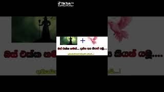 බස් පිස්සො ටික උත්තරේ කියමු බලන්න . උත්තරේ කමෙන්ට් කරන්න.