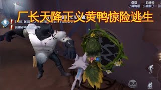 第五人格：厂长天降正义，小黄鸭鸟笼提前补好井盖极限救命！