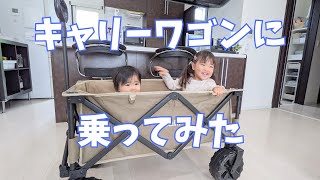 【3歳】キャリーワゴンに載ってみた【生後8ヶ月】