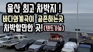 울산 바다와계곡이 공존한다? 차박할만한 곳 1년차박 전국일주 밴라이프 스타렉스캠핑카 밴캠핑카